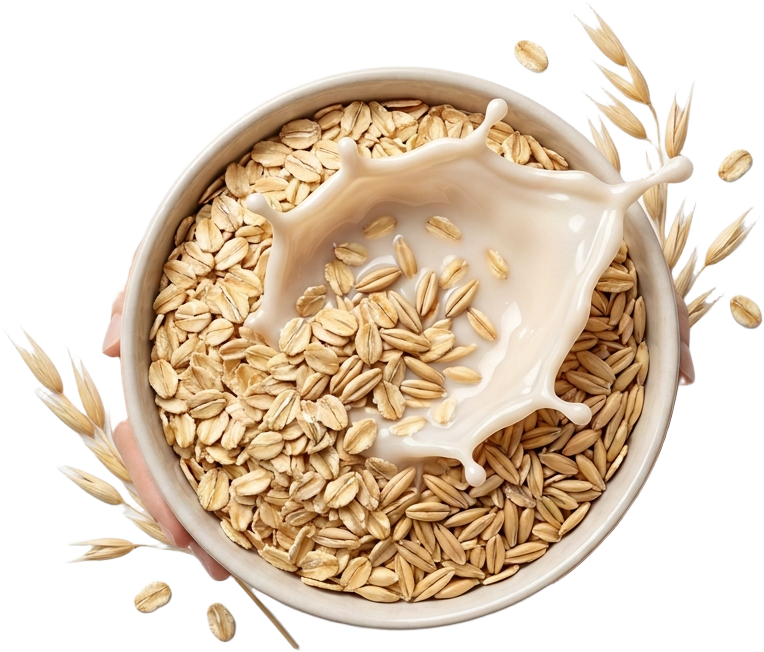 Oat (Avena Sativa)