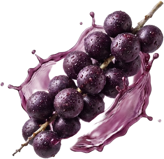 Acai Berry (Euterpe Oleracea)