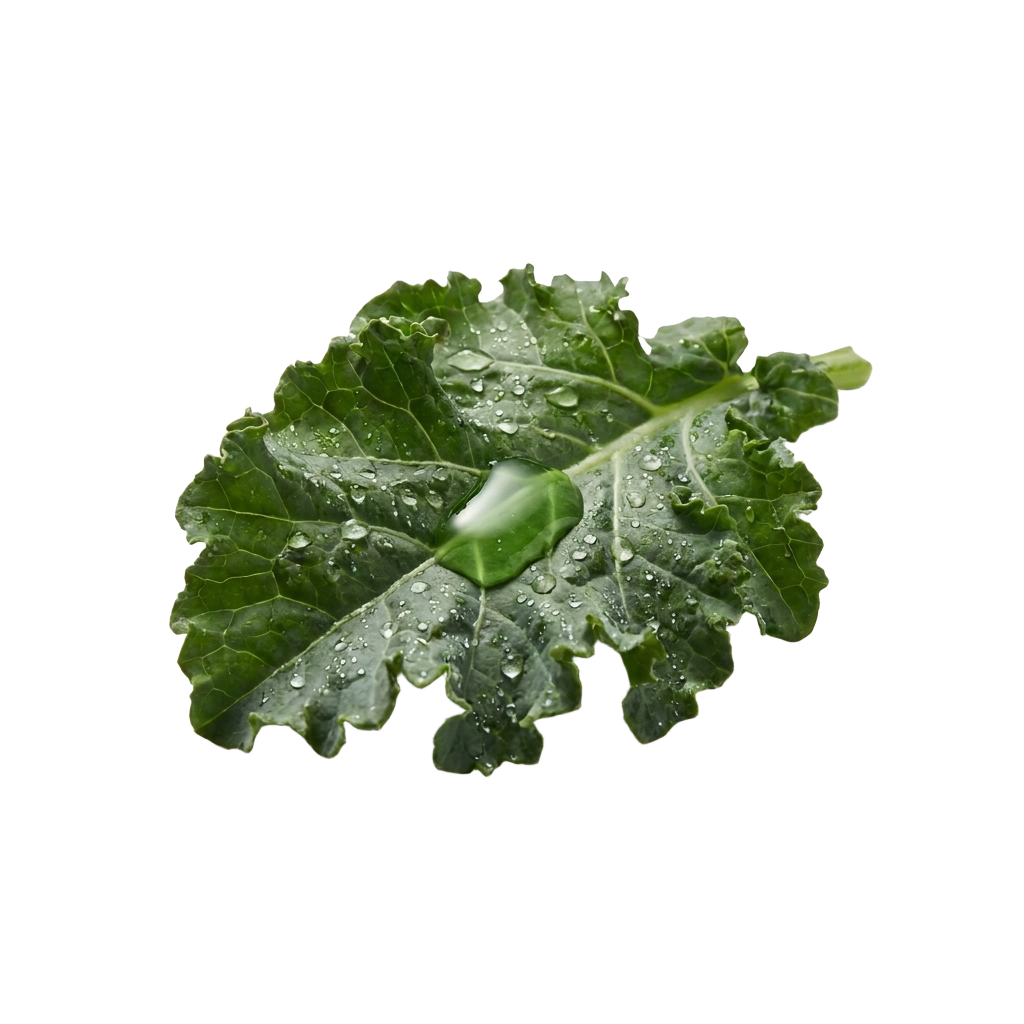 Vitamin K